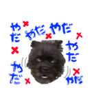 具志堅もちたか（個別スタンプ：31）