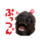 具志堅もちたか（個別スタンプ：32）
