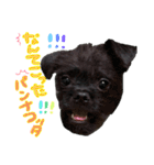 具志堅もちたか（個別スタンプ：34）