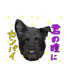 具志堅もちたか（個別スタンプ：38）