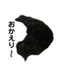 黒猫のちょこ第2弾（個別スタンプ：19）