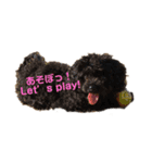ララ＆ルルと時々チョコ（個別スタンプ：8）