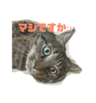 スズだもん！（個別スタンプ：2）