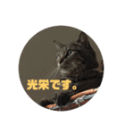 スズだもん！（個別スタンプ：7）