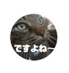 スズだもん！（個別スタンプ：10）