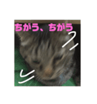 スズだもん！（個別スタンプ：12）