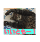 スズだもん！（個別スタンプ：13）