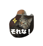 スズだもん！（個別スタンプ：14）
