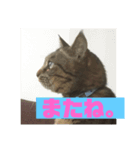スズだもん！（個別スタンプ：16）