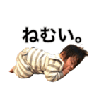 はるくんの日常。ぱーと2（個別スタンプ：2）