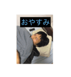 横浜のゆうくん（個別スタンプ：4）