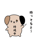 ソシャゲに人生をかけた犬（個別スタンプ：16）