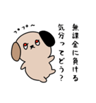 ソシャゲに人生をかけた犬（個別スタンプ：19）