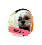 僕ちーるです～ちーるの1日～（個別スタンプ：1）