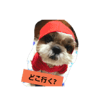 僕ちーるです～ちーるの1日～（個別スタンプ：2）