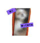 僕ちーるです～ちーるの1日～（個別スタンプ：6）