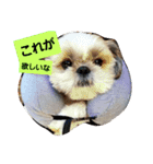 僕ちーるです～ちーるの1日～（個別スタンプ：10）