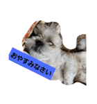 僕ちーるです～ちーるの1日～（個別スタンプ：11）