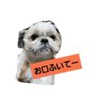 僕ちーるです～ちーるの1日～（個別スタンプ：12）