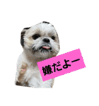 僕ちーるです～ちーるの1日～（個別スタンプ：13）