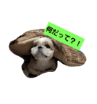 僕ちーるです～ちーるの1日～（個別スタンプ：15）
