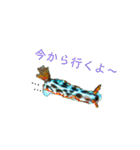 ウミウシ（個別スタンプ：2）