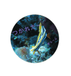 ウミウシ（個別スタンプ：12）