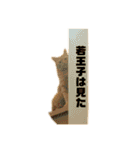 それいけ でしまし若王子 ②（個別スタンプ：10）