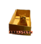 それいけ でしまし若王子 ②（個別スタンプ：29）