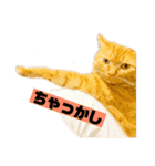 それいけ でしまし若王子 ②（個別スタンプ：40）