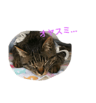 ウーちゃんとゆかいな仲間たち2（個別スタンプ：1）