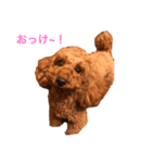lucky bell（個別スタンプ：2）