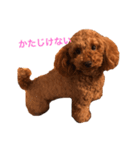 lucky bell（個別スタンプ：8）