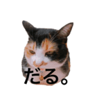森のゾゾさんです。（個別スタンプ：1）