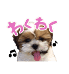 おデブのシュシュくん（個別スタンプ：10）