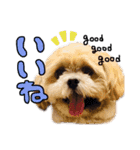 おデブのシュシュくん（個別スタンプ：11）