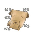 ウォンバットと生活（個別スタンプ：1）