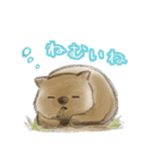 ウォンバットと生活（個別スタンプ：4）