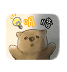 ウォンバットと生活（個別スタンプ：7）