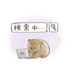 ウォンバットと生活（個別スタンプ：10）