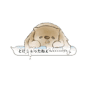 ウォンバットと生活（個別スタンプ：16）
