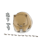 ウォンバットと生活（個別スタンプ：23）
