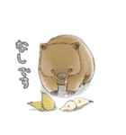 ウォンバットと生活（個別スタンプ：24）