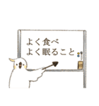 ウォンバットと生活（個別スタンプ：29）