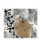 ウォンバットと生活（個別スタンプ：40）