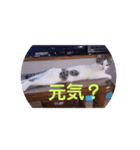 ミニィスタンプ（個別スタンプ：2）