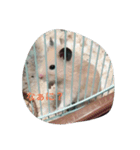 ハムスターと猫のきもち（個別スタンプ：3）