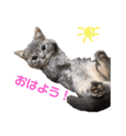 ウォルくんのゴキゲンないちにち（個別スタンプ：1）