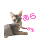 ウォルくんのゴキゲンないちにち（個別スタンプ：8）