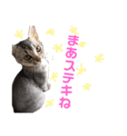 ウォルくんのゴキゲンないちにち（個別スタンプ：9）